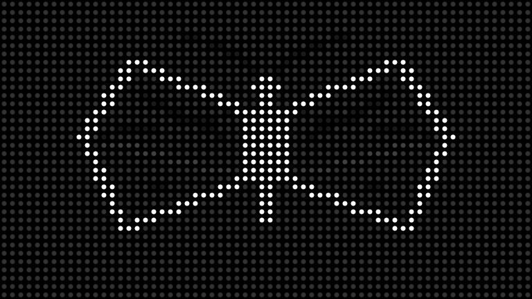 moth